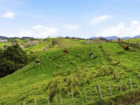 Lot 6 & 7 Otioro Road, Kaiwaka