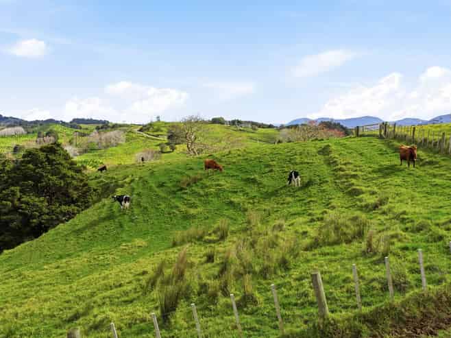 Lot 6 & 7 Otioro Road, Topuni