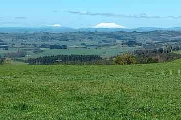 373 Pekanui Road, Pirongia