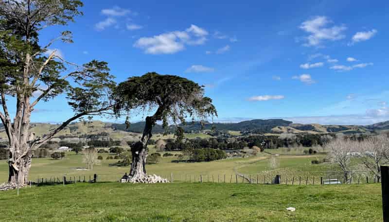 777 Kaipara Flats Road, Kaipara Flats