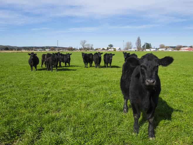 78 Airport Road, Wairoa