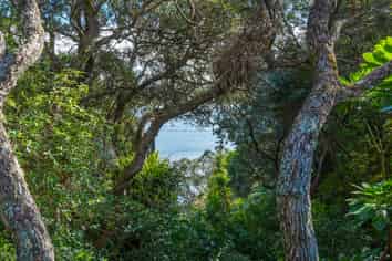 41 Gerontius Lane, Snells Beach