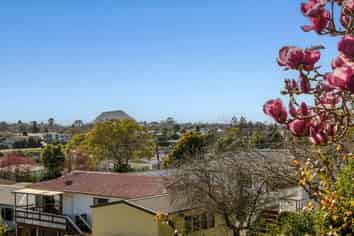29 Linley Terrace, Judea