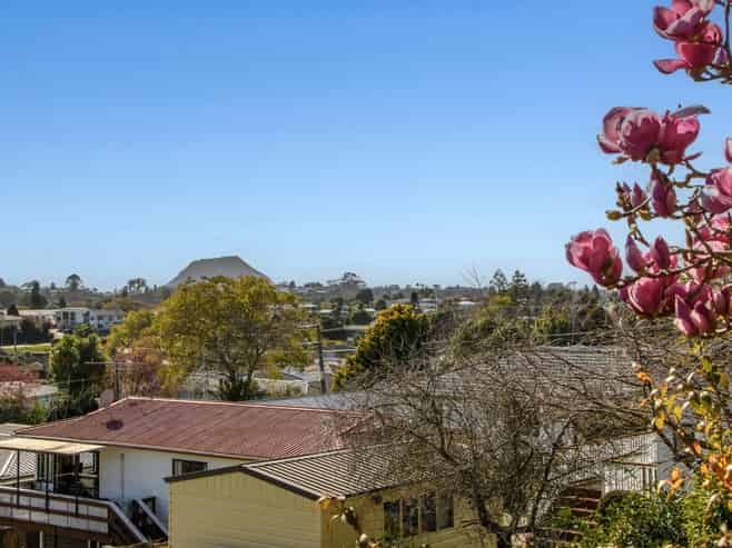 29 Linley Terrace, Judea