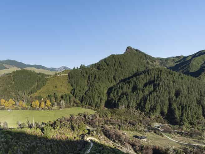  Graham Valley Road, Motueka Valley