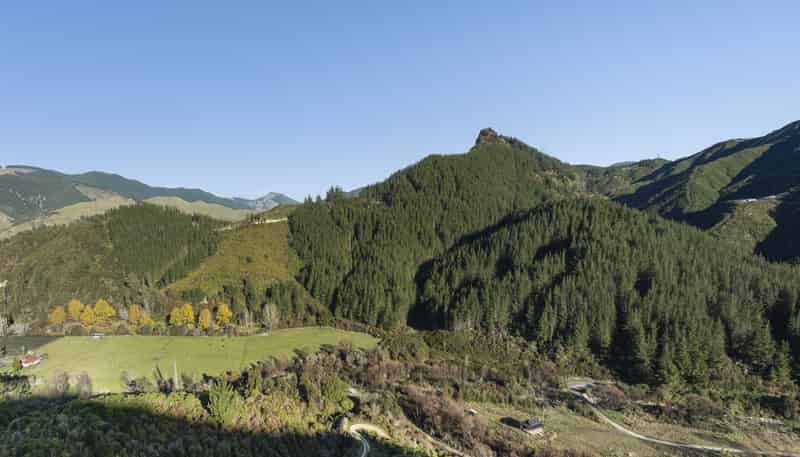  Graham Valley Road, Motueka Valley