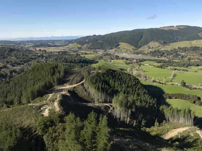  Graham Valley Road, Motueka Valley