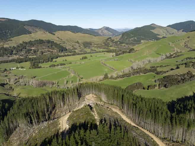  Graham Valley Road, Motueka Valley