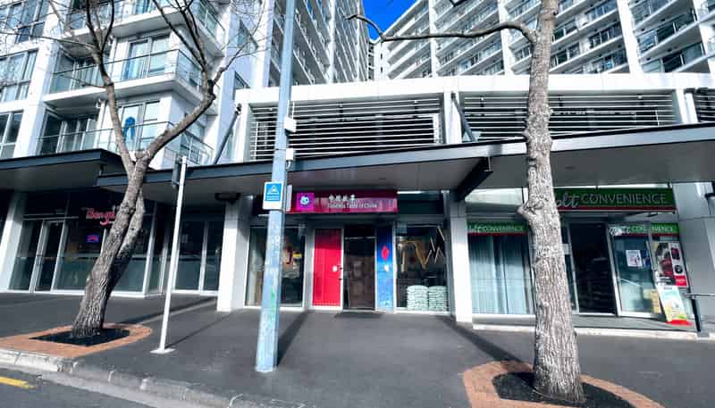 113 Mayoral Drive, Auckland Central