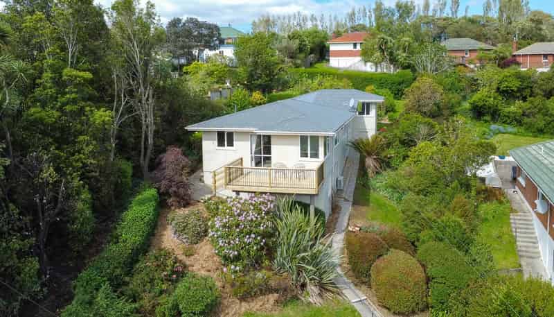 38 Hillary Street, Liberton