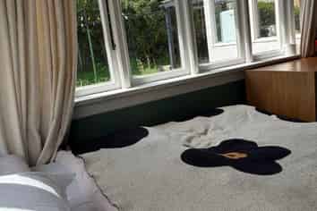 Room 5/101 Elgin Road, Kenmure