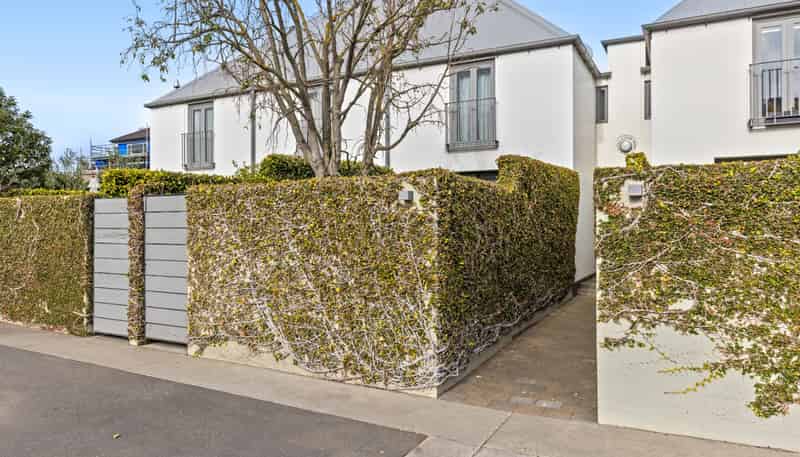 8/310 Gloucester Street, Christchurch Central