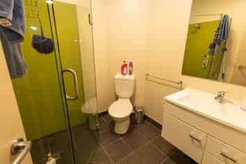 Room 2B/73 Buccleugh Street, North East Valley