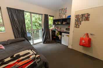 Room 2D/73 Buccleugh Street, North East Valley
