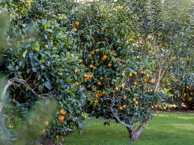 5B Raukawa Grove, Waiuku