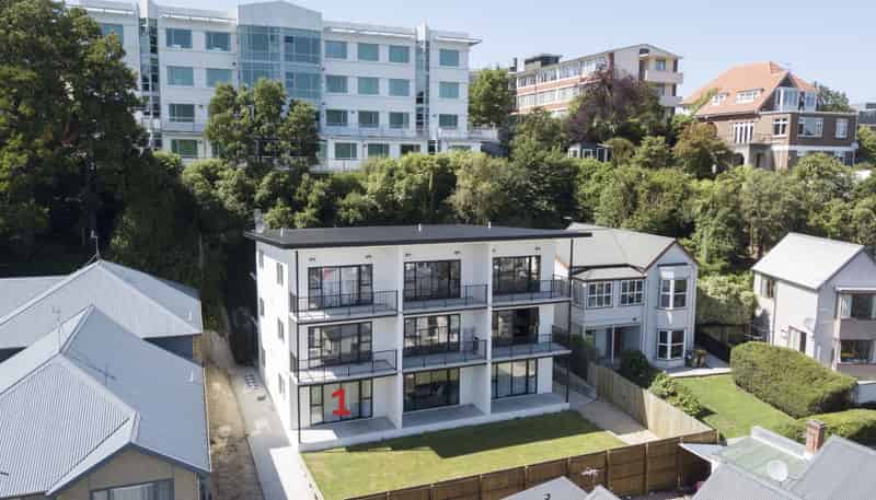 Flat 1/377 Leith Street, North Dunedin