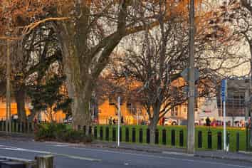 b/62 Willoughby Street, Hamilton Central