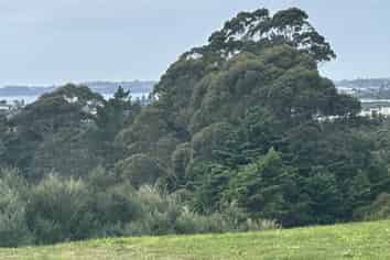 55 Kikorangi Drive, Orewa