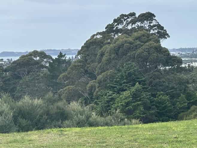 55 Kikorangi Drive, Orewa