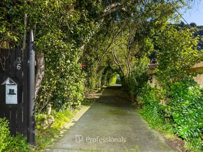 36 Black Beech Street, Birchville
