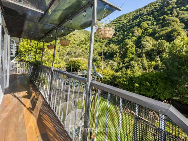 36 Black Beech Street, Birchville