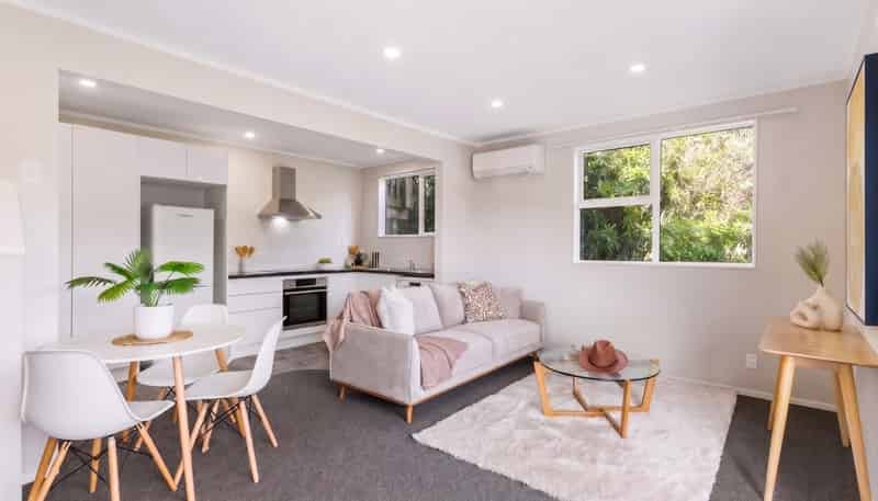 109B Fraser Avenue, Johnsonville