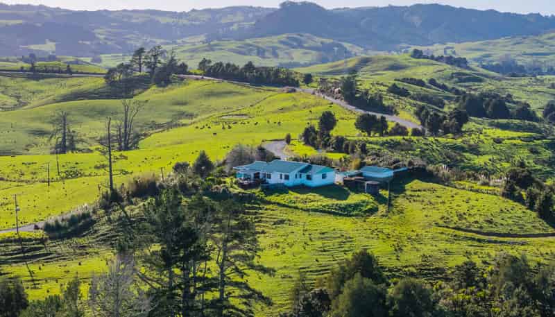 Lot 4 80 Harrison Road, Waiotira
