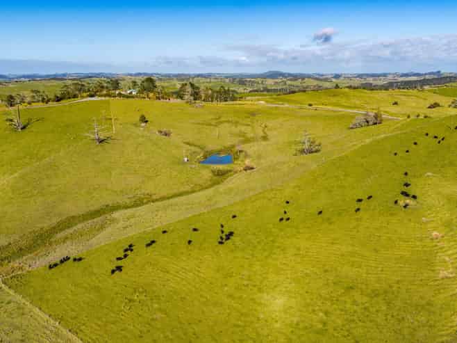 Lot 3 80 Harrison Road, Waiotira