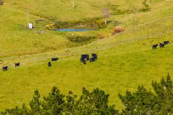 Lot 3 80 Harrison Road, Waiotira
