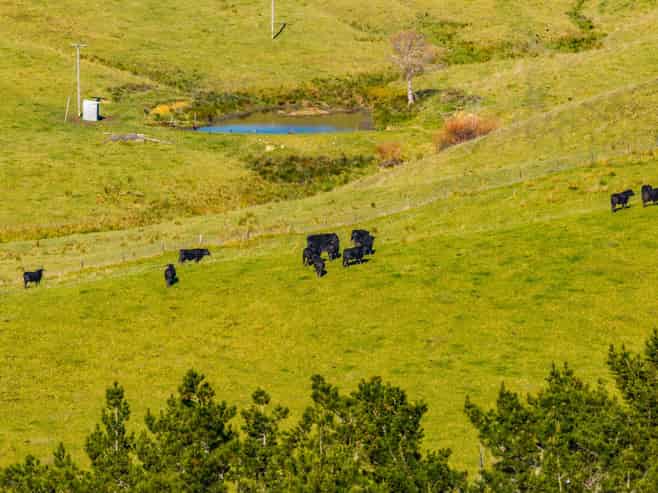 Lot 3 80 Harrison Road, Waiotira