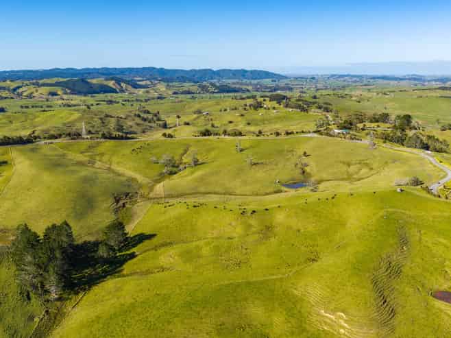 Lot 3 80 Harrison Road, Waiotira