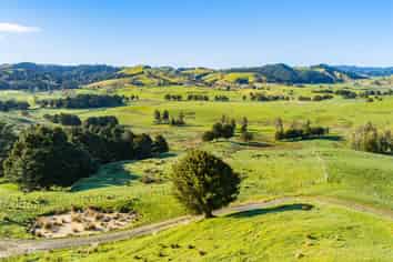 Lot 2 80 Harrison Road, Waiotira