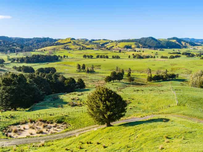 Lot 2 80 Harrison Road, Waiotira