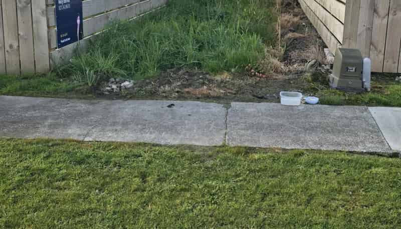 30 Gordon Crescent, Marton