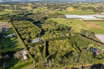 261 Wainui South Road, Whakamarama