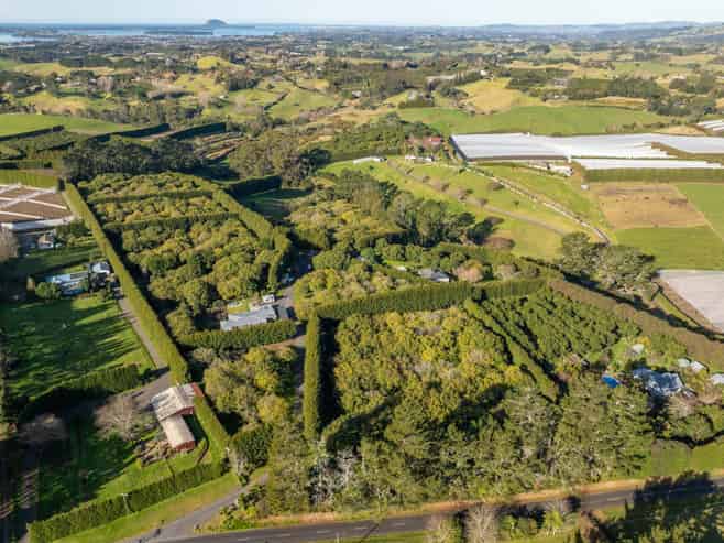 261 Wainui South Road, Whakamarama