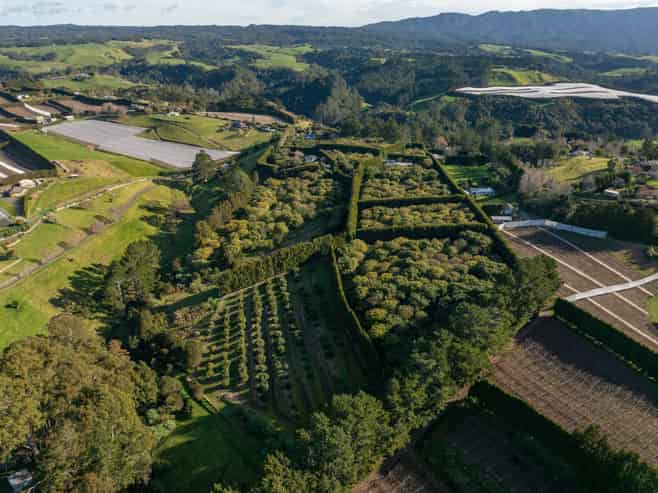 261 Wainui South Road, Whakamarama