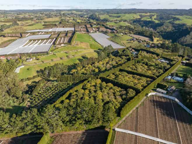 261 Wainui South Road, Whakamarama