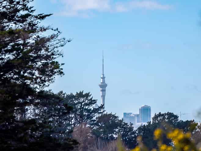 116 Chamberlain Road, Massey