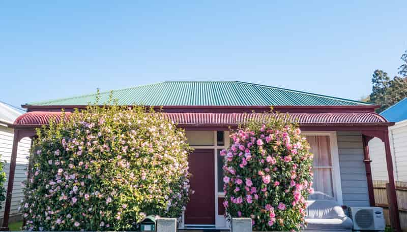 17 Crown Street, North East Valley