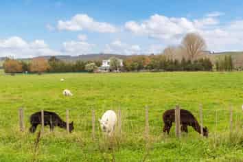 2179 State Highway 16, Helensville