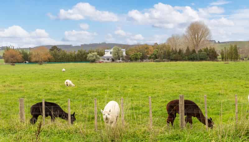 2179 State Highway 16, Helensville