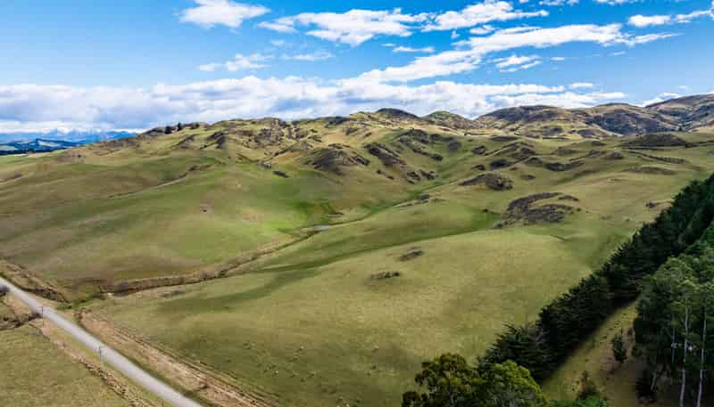 283 Mcraes Road, Waikari