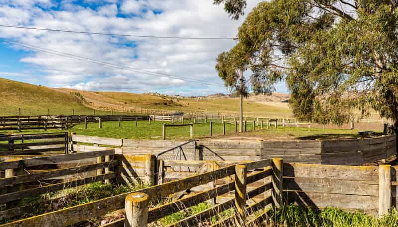 283 Mcraes Road, Waikari