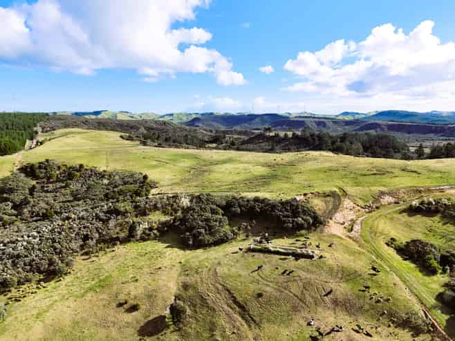 Lot 2 State Highway 12, Dargaville