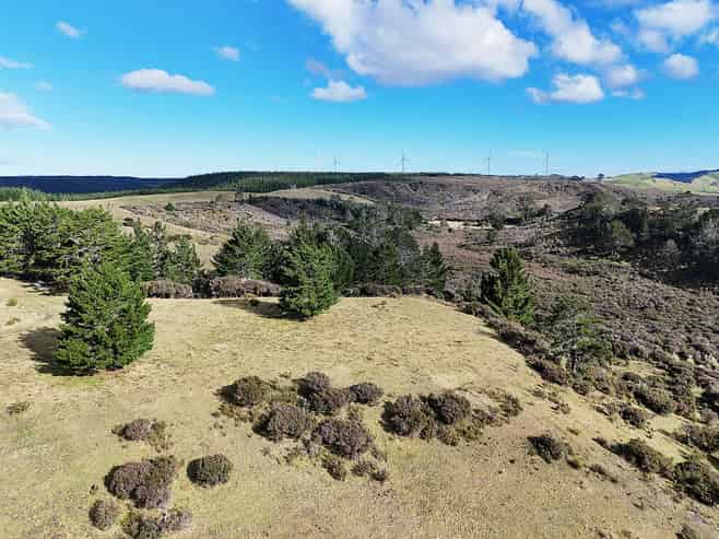 Lot 2 State Highway 12, Dargaville