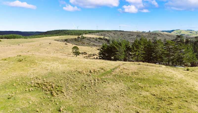 Lot 2 State Highway 12, Dargaville