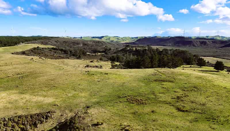 Lot 2 State Highway 12, Dargaville