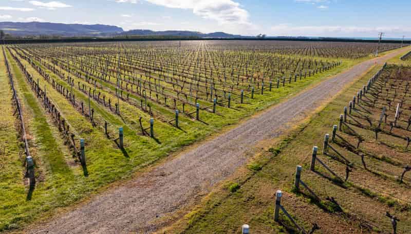 787 Seaview Road, Seddon