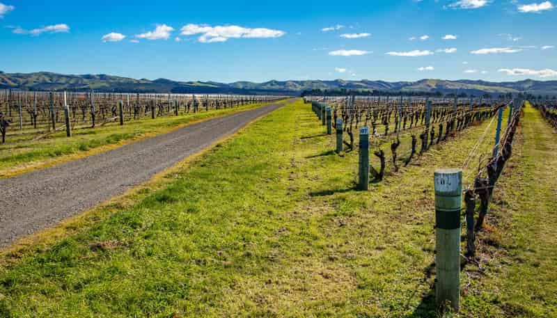 787 Seaview Road, Seddon